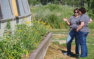 two people looking at a raised bed of plants