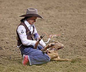 woman tying a goat's legs