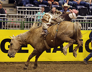 person on a bucking horse
