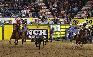 two people on horses roping a calf