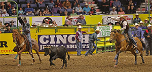 two people on horses roping a calf