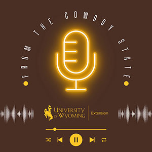 graphic for podcast