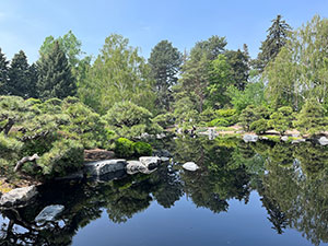 garden full of trees beside a pond