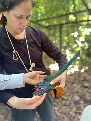 woman holding a bird