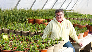 person in a greenhouse
