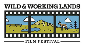 logo for films
