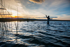 person fly fishing