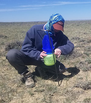 person setting up an insect trap on the prairie