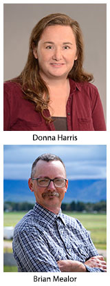 Donna Harris and Brian Mealor