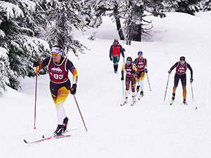 Nordic skiers