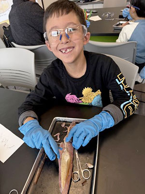young boy with a squid in a pan