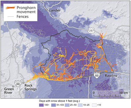 map of Wyoming with antelope movement marked on it
