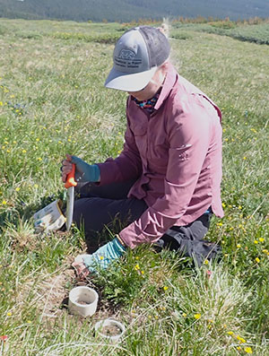woman conducting an experiment in the grass