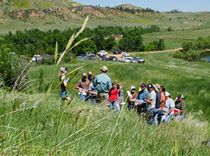 group of people on a grassy hillside