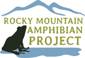 logo with the silhouette of a frog and mountains