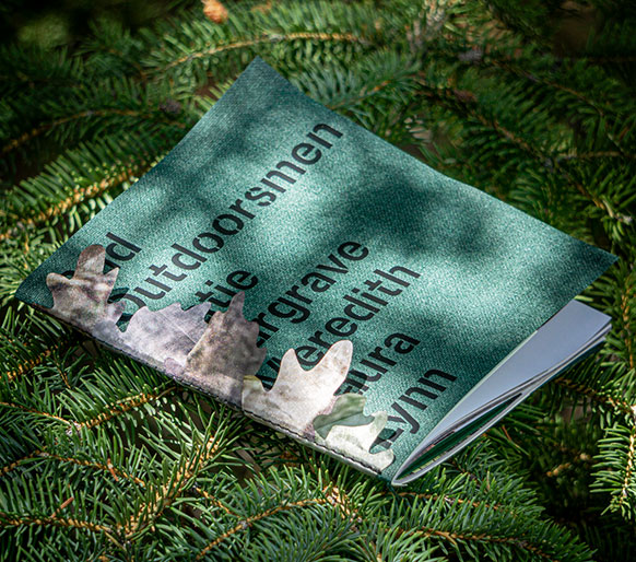 paperback book lying on evergreen boughs