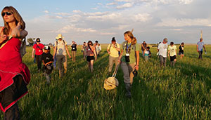 people walking through tall green grass field