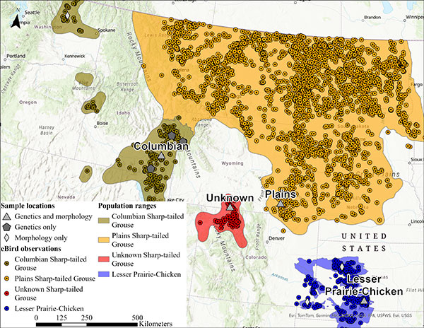 map showimg grouse populations in the Rocky Mountain west