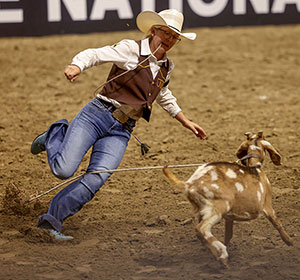 woman preparing to grab a roped goat