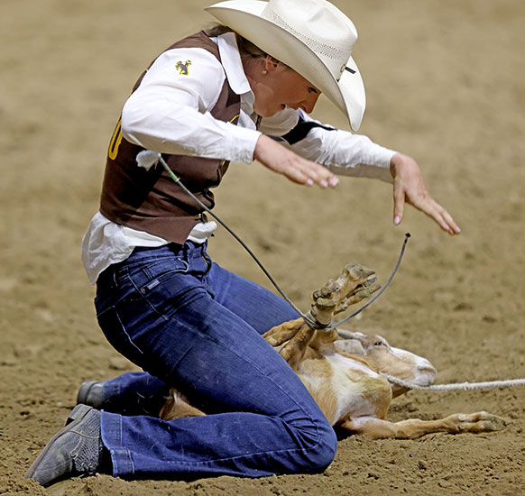 woman holding a goat with tied legs between her knees on the ground of an arena