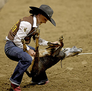 Woman tying the legs of a goat