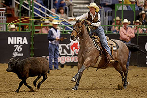 woman on a horse roping a calf