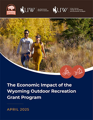 cover image for tourism report