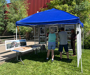 sun shade tend with art work
