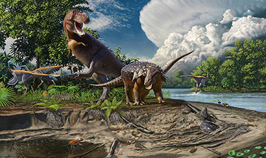 illustration of a t-rex along with several other dinosaurs