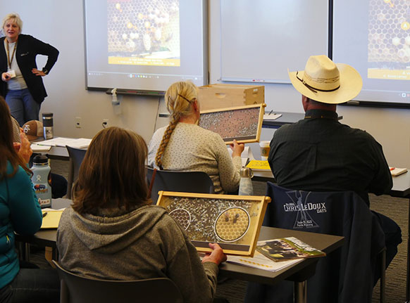 adults in a classroom looking at teaching aids about beekeeping