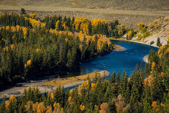 river winding through trees with autumn leaves in a mountain valley