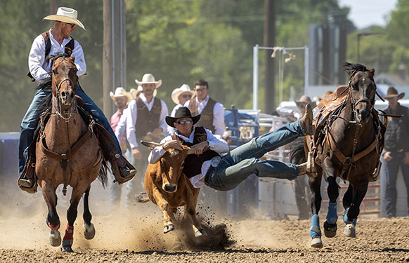 man on a horse riding beside a man leaping from his horse to wrestle a steer