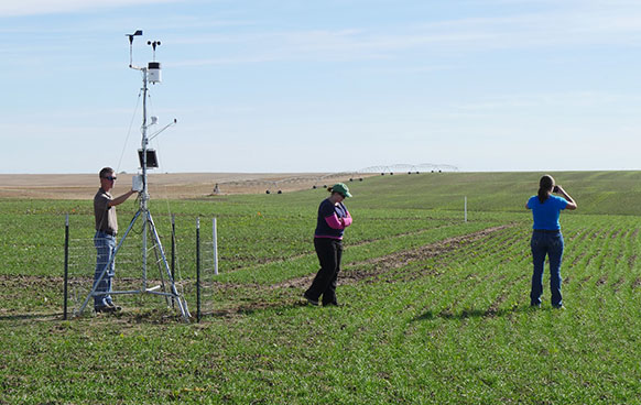 three people in a field with equipment