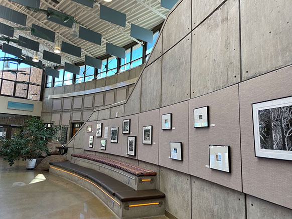 framed photos on an interior concrete wall