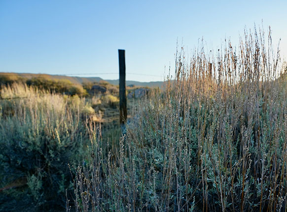 rural landscape