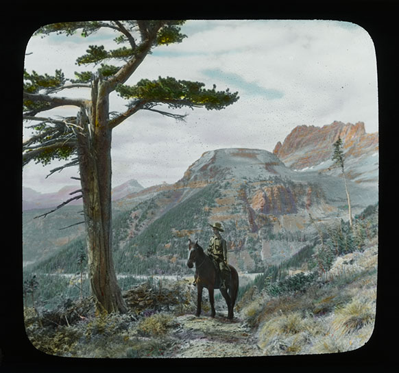art image of a man on a horse