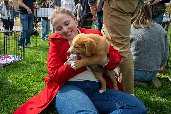 woman on the ground cuddling a puppy