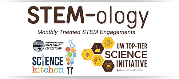 STEM-ology logo