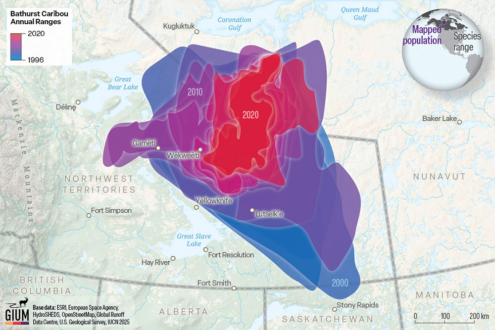 map showing caribou migration patterns