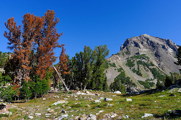 scenic mountain photo