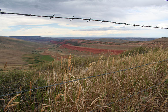 plains landscape with barbed wire in the foreground