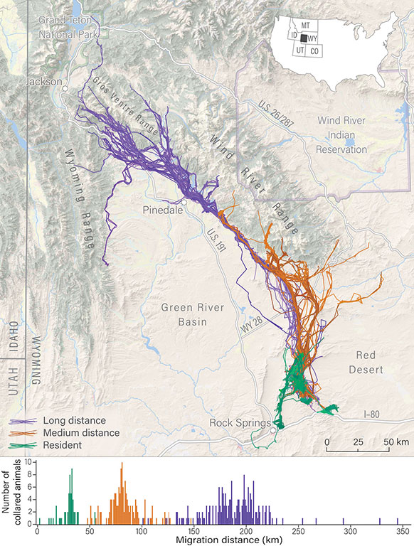 map showing migration routes