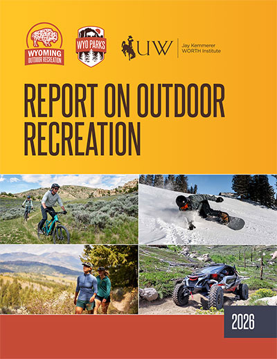 report cover