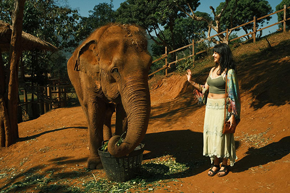 A woman waves at an elephant