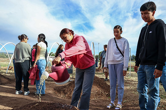 people at a farming site