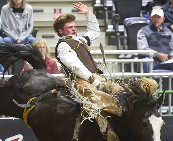 man riding a bucking horse