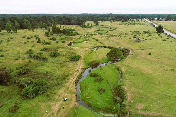 overhead view with a stream meadering through a tree-dotted meadow