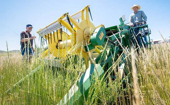 people with agricultural equipment in a field