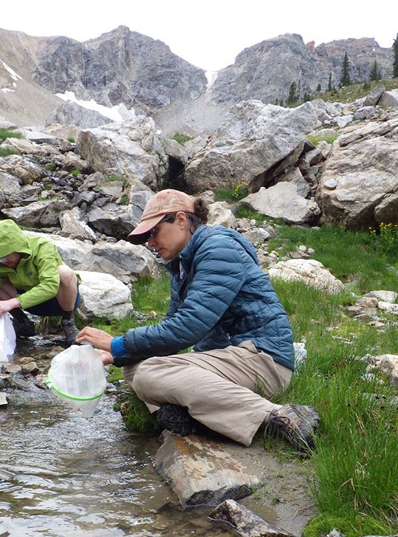 woman sitting beside a mountain stream with a net