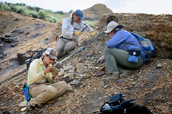 three people carefully excavating on a rocky slope